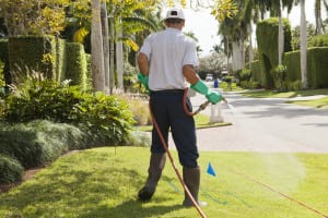 Lawn Spraying Services