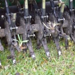 Core Aeration