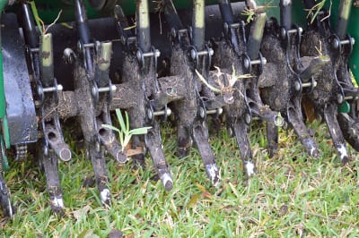 Core Aeration in Lake Wales, Florida