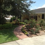 Tree & Shrub Care in Auburndale, Florida