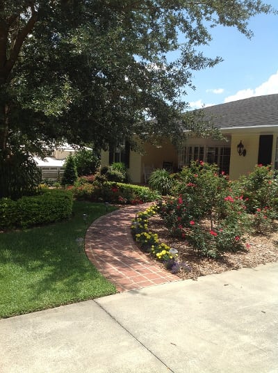 Tree & Shrub Care in Auburndale, Florida