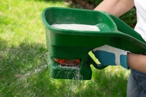 Lawn Fertilization in Lakeland, Florida