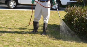  Lawn Spraying Services