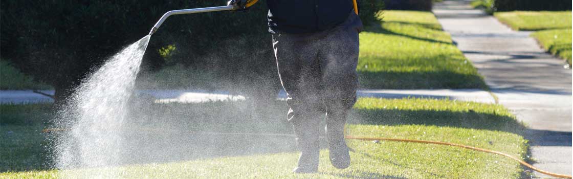Lawn Spraying Services in Auburndale, Florida