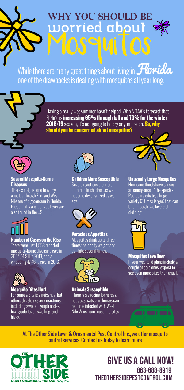 Why You Should Be Concerned About Mosquitos [Infograpics]