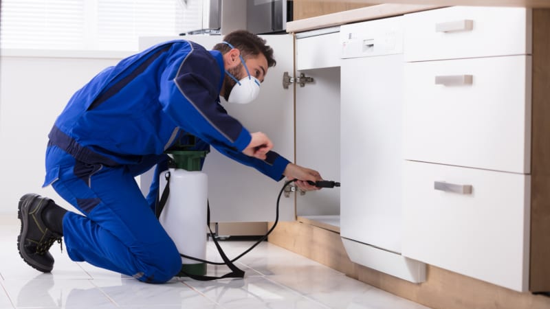 Man Spraying Pesticide In Kitchen Insect Control in Lakeland, Florida