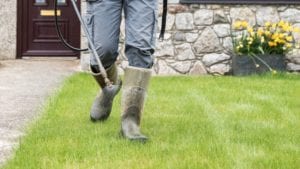 Lawn care services can help get rid of your pest and fungus problems for good