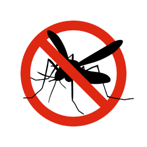Mosquito spraying is an effective way to kill the larvae