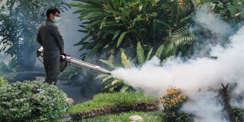set up an appointment for mosquito control