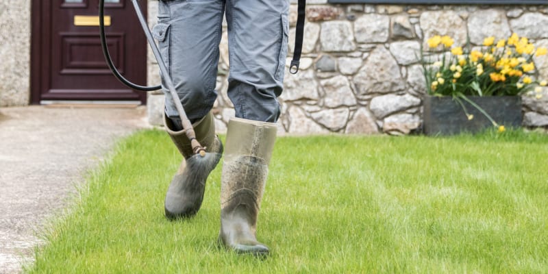 If you are looking for quality lawn care services