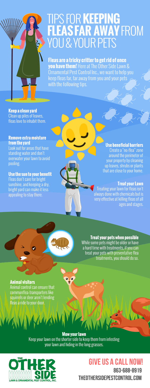 Tips for Keeping Fleas Far Away from You & Your Pets [infographic]