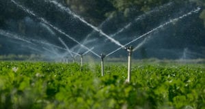 A Beginner’s Guide to Irrigation Services