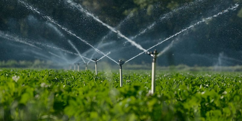 A Beginner’s Guide to Irrigation Services