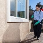 Insect Removal in Bartow, Florida