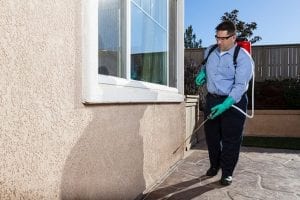 Insect Removal in Bartow, Florida