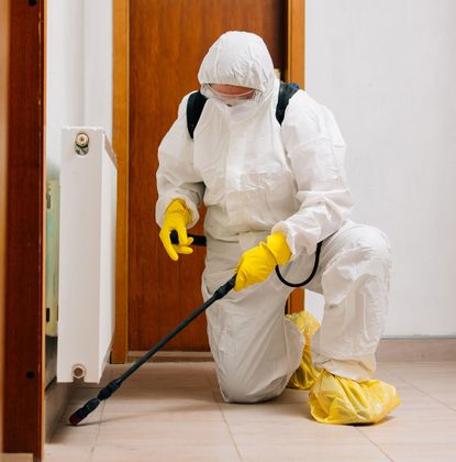 Termite Removal Service